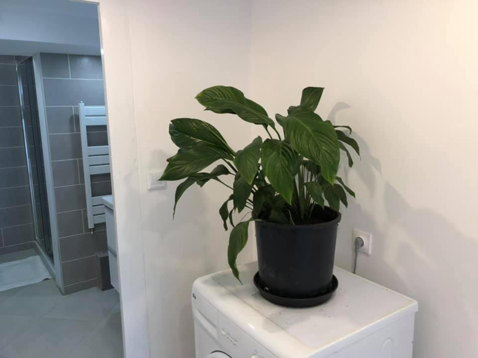 Les Terrasses D'Angouleme Bed and Breakfast Εξωτερικό φωτογραφία